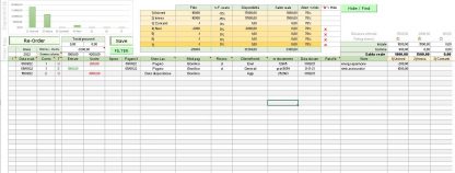 Assistenza da remoto Excel Access AppMobile - immagine 7